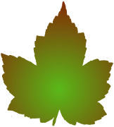 The form of a leaf generated by a fractal geometry computer program.