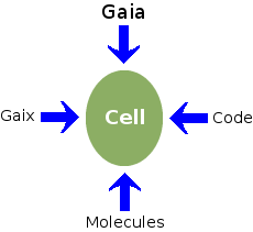 Essence schematic of the generic living cell.