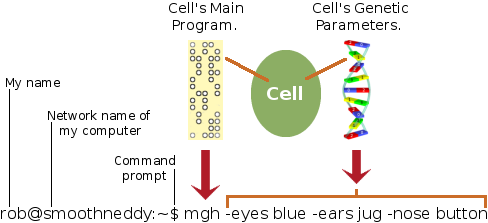 Unix command analogy for a cell-embedded program with a DNA-based script.