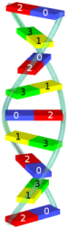 Symbolic illustration of a DNA molecule.