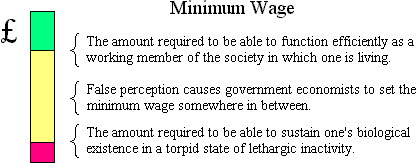 Considerations for setting a minimum wage.