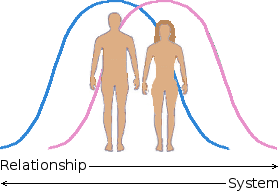 Relative off-sets of male and female conceptions of 'relationship' and 'system'.