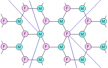 A male-female small-world network of friends.