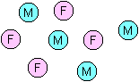 Pink and blue circles representing single (unconnected) young adults.