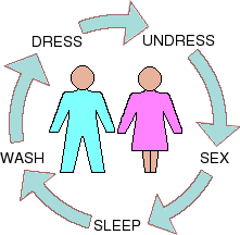 Illustration of the cycle of activites that take place in the sleeping accommodation module of the landshare dwelling.