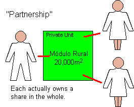 Possibility of a 'partnership' type of shared ownership of the 20,000 square metre módulo rural.