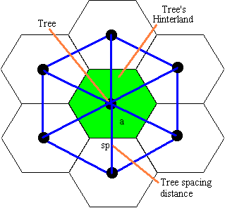 A hexagonal tree-planting plan.