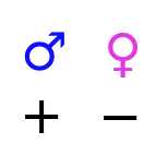 Os dois tipos de éter podem ser diferenciados como masculino e feminino ou positivo e negativo.