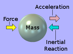 Diagram showing that a directed force, applied at a point on the external surface of an object, provokes an internally-distributed inertial reaction.