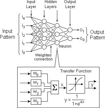 Internal structure of a typical multi-layer perceptron network.