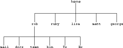 The Unix directory structure.