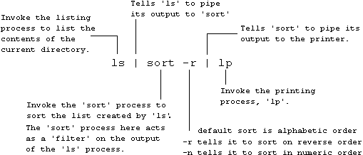 Sorting the output from a Unix command.
