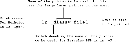 Unix command to print to a specified printer.