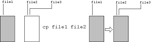 Unix command to duplicate file1 as file2.