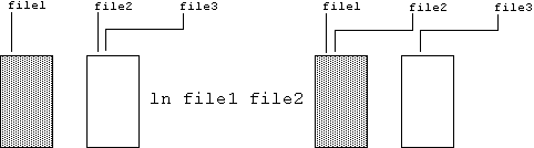Unix command to give a file two different names.