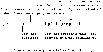 Annotated illustration of the switches applicable to the Berkeley version of the ps command.