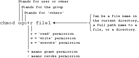 Annotated Unix command for changing a file's permissions.